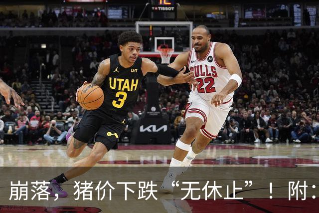 崩落，猪价下跌“无休止”！附：10月28日猪价